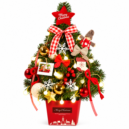 Tabletop Christmas Tree Kit
