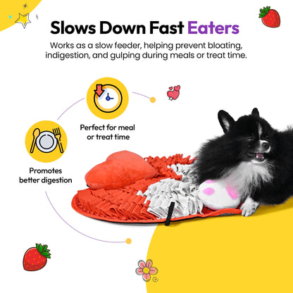Snuffle Mat for Natural Nose Work & Mental Stimulation