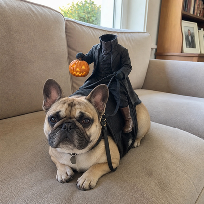 🎃The Headless Horseman Rider Pet Costume🐾