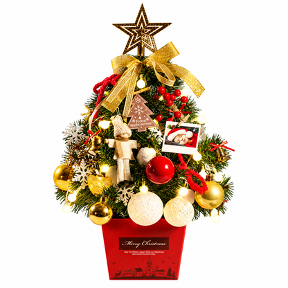 Tabletop Christmas Tree Kit
