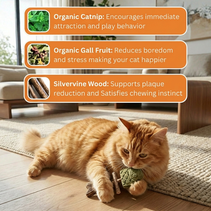 🐱CatFish Blend – Natural Catnip & Silvervine Dental Chew 🐟