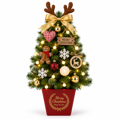 Tabletop Christmas Tree Kit